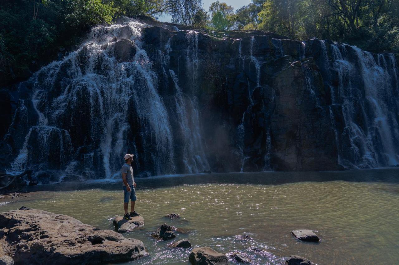 Reserva Natural Iguazu - Pristine Luxury Camp Puerto Libertad Eksteriør billede